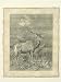 Vintage Roe Deer II - Friedrich Specht Art Print Poster 16.25 x