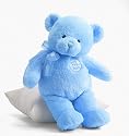 Gund Baby 15" My First Teddy - Blue