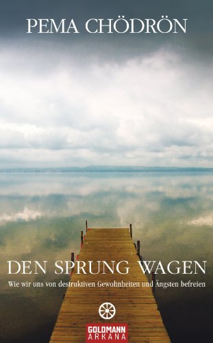 Den Sprung wagen: Wie wir uns von destruktiven Gewohnheiten und Ängsten befreien (German Edition)