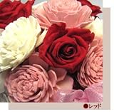 �f�G�ȃv���U�[�u�h�t�����[�̃A�����W�����g  �v�����Z�X���b�h �O�����h�T�C�Y�y���j���E�L�O���E�a�����E�t�����[�M�t�g�E�o���z