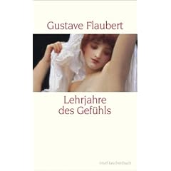 Lehrjahre des Gef�hls: Geschichte eines jungen Mannes. Roman (insel taschenbuch)