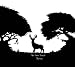 The Deer Tracks-Aurora