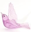 Lukeke Bird