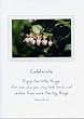 British Columbia artist Karen Graham - Inspirational photo greeting cards. Six land themed cards boxed for $21