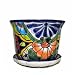 Talavera African Violet Medium Planter Pot with Attached Saucer, Assorted Colors