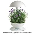 AeroGarden 3 w/ Lavendar Seed Kit, White