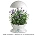 AeroGarden 3 w/ Lavendar Seed Kit, White