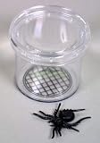 Coghlans Bug Jar with Magnifier for Kids