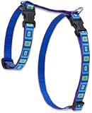 LupinePet 1/2" Sea Glass 9-14 H-Style Pet Harness