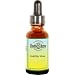 Alternative Health & Herbs Remedies Cold, flu Virus, 1-Ounce Bottle (Pack of 2)