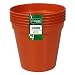 Plant Pot 12.7Cm (5)