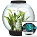 baby biOrb 4-Gallon Moonlight Aquarium with Light Fixture, Black