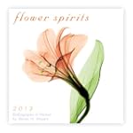Flower Spirits 2013 Mini (calendar)