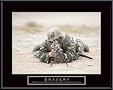 Bravery - Sniper, Art Poster by Anon Bravery - Sniper, Art Poster by Anon