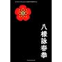 Acht Pattern Wing Chun Kung Fu von Matthias Gruber