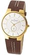 Skagen Casual Gold-tone Steel Mens Watch with Brown Leather Bracelet 433LGL1
