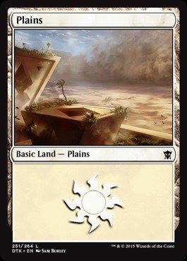 Magic: the Gathering - Plains (251/264) - Dragons of Tarkir - Foil
