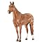 Breyer Saddle Club - Prancer