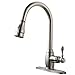 VCCUCINE Best Antique Commercial Stainless Steel Brushed Nickel Single Handle Pull Down Kitchen Sink Faucet, Pull Out Sprayer Kitchen Faucet