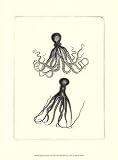 Sepia Octopus - Poster (9.5x13)