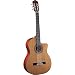 Guild Guitars 381-0905-821 GAD-5N Acoustic Design Guitar