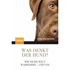 Was denkt der Hund?: Wie er die Welt wahrnimmt - und uns
