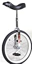 Schwinn 20" Unicycle - Chrome