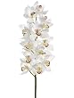 Pack of 4 Artificial Cream Cymbidium Orchid Silk Flower Sprays 34"
