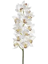 Pack of 4 Artificial Cream Cymbidium Orchid Silk Flower Sprays 34"