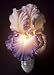 Purple Bearded Iris Night Light - Ibis & Orchid Flowers of Light Collection