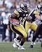 Willie Parker Pittsburgh Steelers 8x10 Photo