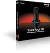 Sound Forge Pro 10