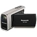 Panasonic Waterproof/Shock Proof Compact SD Camcorder - Silver (SDR-SW20S)