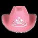 Child Pink Blinking Tiara Cowboy Hat