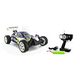 1:10 Cheetah RTR Electric Off-Road Remote Control RC Buggy (Color May Vary) by World Tech Toys