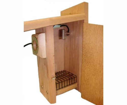Peek-A-Boo Ultimate Bluebird House Lift Included