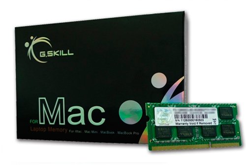 G.Skill PC3-5300 Arbeitsspeicher 2GB (667 MHz, 204-polig) DDR2-RAM Kit