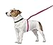 ThunderLeash No-Pull Dog Leash (Large (Over 25 lbs), Pink)