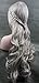 Generi Sexy Long Grey Body Wavy Cosplay Wig Halloween Costume Wig(1803)