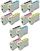 12 Pack Elite Supplies ® Remanufactured Inkjet Cartridge Replacement for #69 T069 T0691, Epson T069120 T069220 T069320 T069420 Works With Epson Stylus C120, Stylus CX5000, Stylus CX6000, Stylus CX7000F, Stylus CX7400, Stylus CX7450, Stylus CX8400, Stylus CX9400Fax, Stylus CX9475Fax, Stylus N10, Stylus N11, Stylus NX100,Stylus NX105, Stylus NX11, Stylus NX110, Stylus NX115, Stylus NX200, Stylus NX215, Stylus NX300, Stylus NX305, Stylus NX400, Stylus NX410, Stylus NX415, Stylus NX510, Stylus NX515, WorkForce 1100, WorkForce 1300, WorkForce 30, WorkForce 310, WorkForce 315, WorkForce 40, WorkForce 500, WorkForce 600, WorkForce 610, WorkForce 615 (3 Black, 3 Cyan, 3 Magenta, 3 Yellow)
