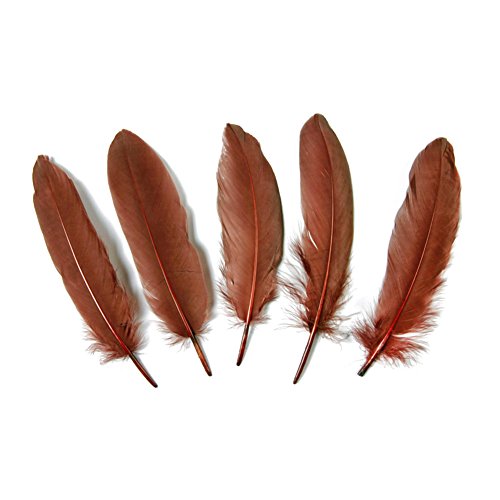 Goose feather,Hgshow 100Pcs beautiful feathers 6-8 inches 15-20 cm, choose color Useful charming