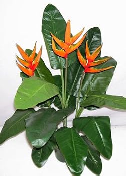40" Triple Heliconia Plant (orange)
