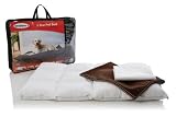 Bindaboo 5 Star Pet Bed, Chocolate with Sandstone Piping