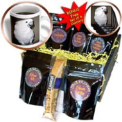 Birds - Umbrella Cockatoo - Coffee Gift Baskets - Coffee Gift Basket by 3dRose LLC