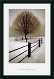 Solitude Framed Art Print by David Lorenz Winston,27.1 x 39 Framed