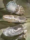Beachcomber Scallops Plate