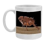 Photo Mug of LRDS-52 Cat Flea from Ardea