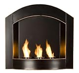 41kPdVWW5%2BL. SL160  Wall Mount Indoor and Outdoor Gel Fuel Fireplace