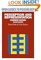 Perception and Representation: Current Issues (Open Guides to Psychology)