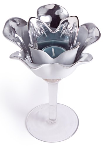 7.5  Glass Rose Silver Lining
